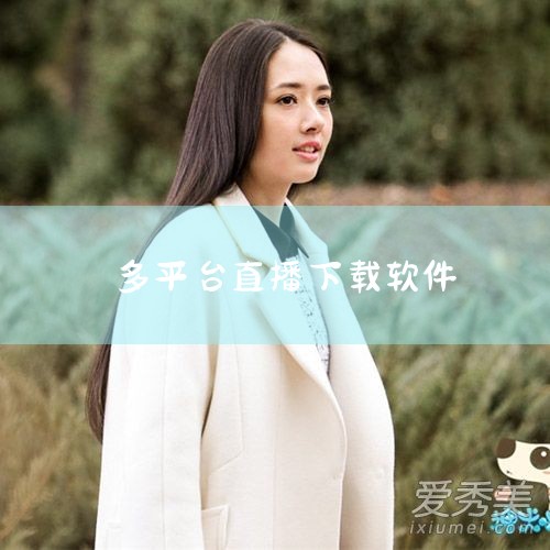 哔哩哔哩直播姬：为哔哩哔哩平台量身定制的直播软件，与哔哩哔哩的社区文化深度融合。适用于ACG文化相关的直播，如动漫解说、游戏直播等。操作上简洁易用。此外，抖音和微信这两个平台本身也提供了直播功能。抖音|男娘日记