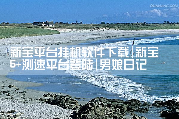 新宝平台挂机软件下载|男娘日记