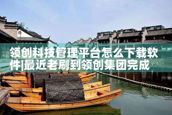 领创科技管理平台怎么下载软件