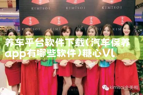 养车平台软件下载|糖心Vlog入口