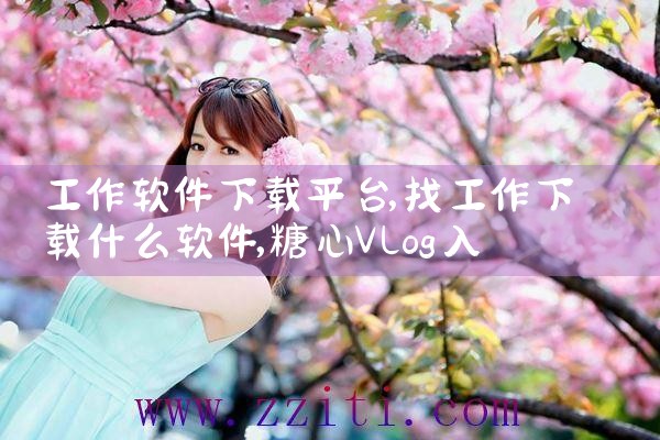 工作软件下载平台|糖心Vlog入口