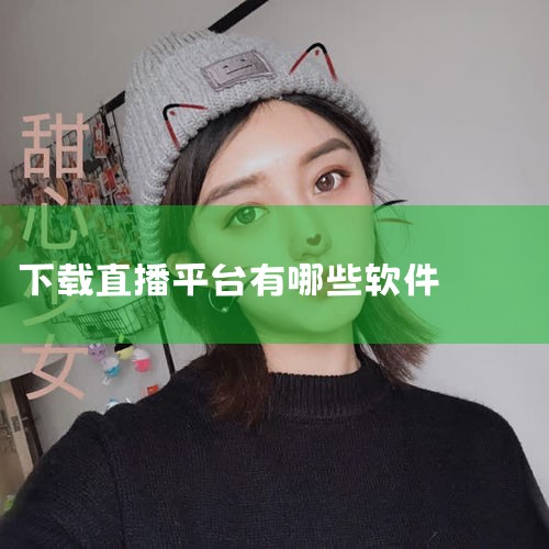 泰捷视频与泰捷TV泰捷系列软件是安卓4.2系统用户常用的选择。泰捷视频以稳定性和高清画质著称，支持国内外主流电视台的实时直播，且更新频率较高，能及时覆盖新增频道。泰捷TV则更侧重于影视资源整合，除直播|男娘日记