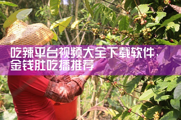 吃辣平台视频大全下载软件