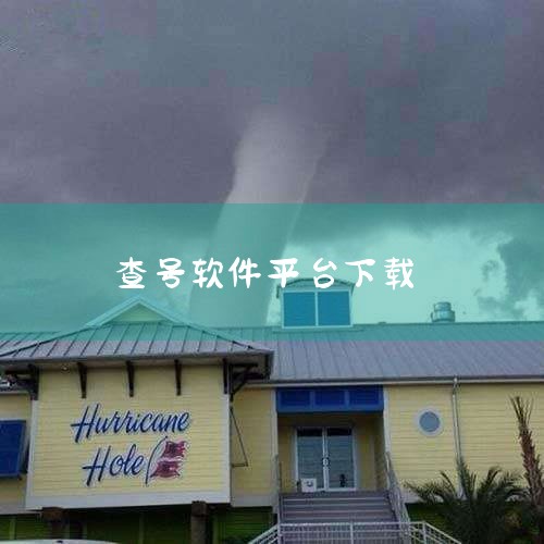 查号软件有那些|如何查看手机号状态是否正常?|aippt软件下载|查号软件有吗怎么查?|淘宝查号验号什么软件比较好,查电商可以吗|糖心Vlog