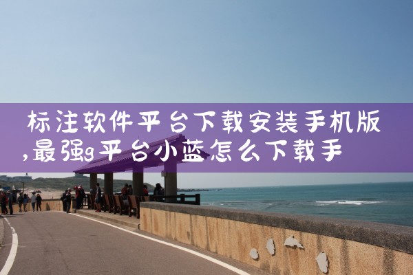 标注软件平台下载安装手机版
