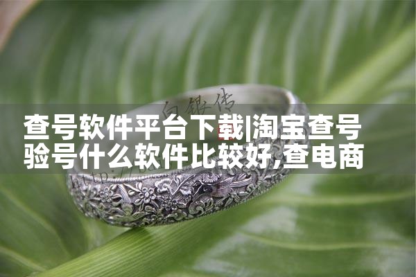 查号软件平台下载|糖心Vlog