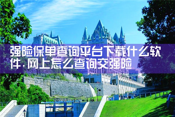 强险保单查询平台下载什么软件