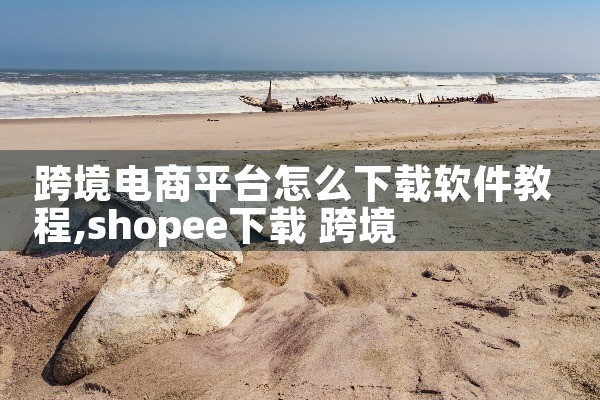 跨境电商平台怎么下载软件教程